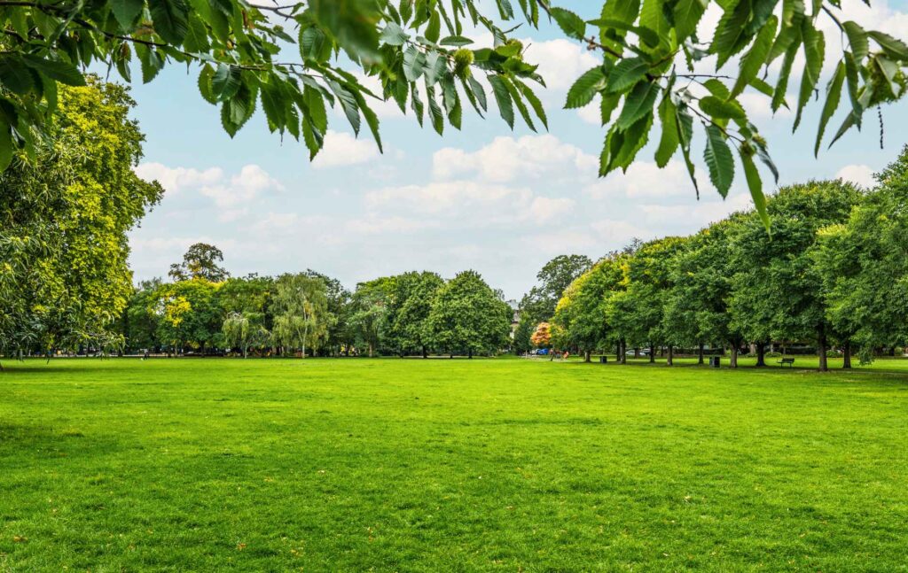 Ravenscourt Park