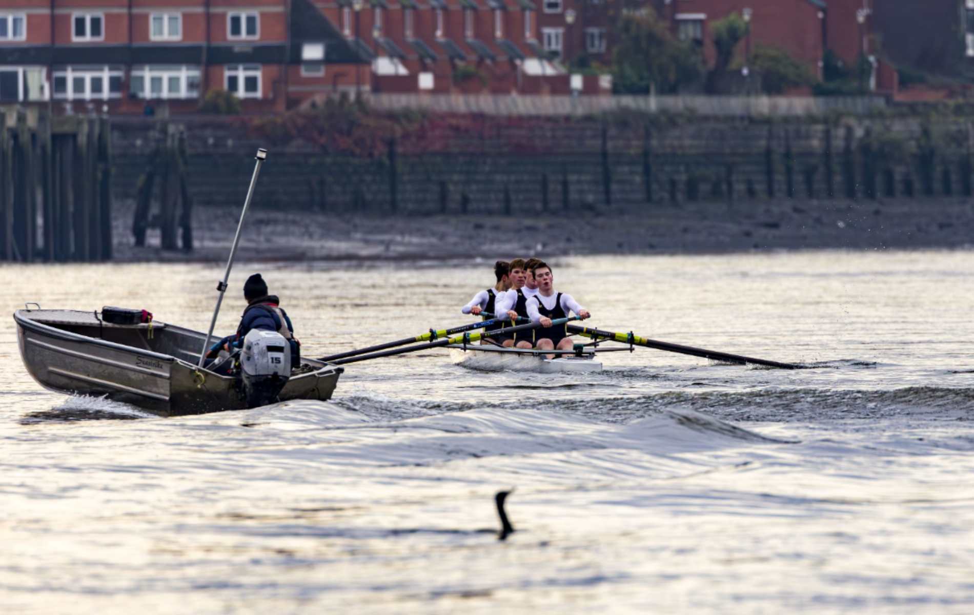 Racing the Tideway: A Junior's Journey to the Boat Race