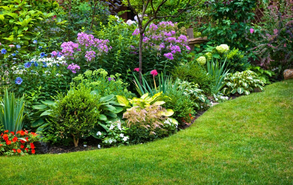 Tidy your garden when selling in the summer