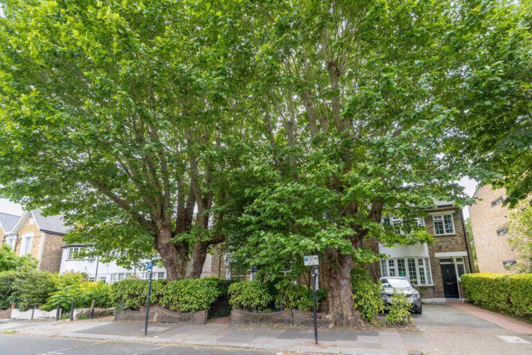 images of property on Wellesley Road
