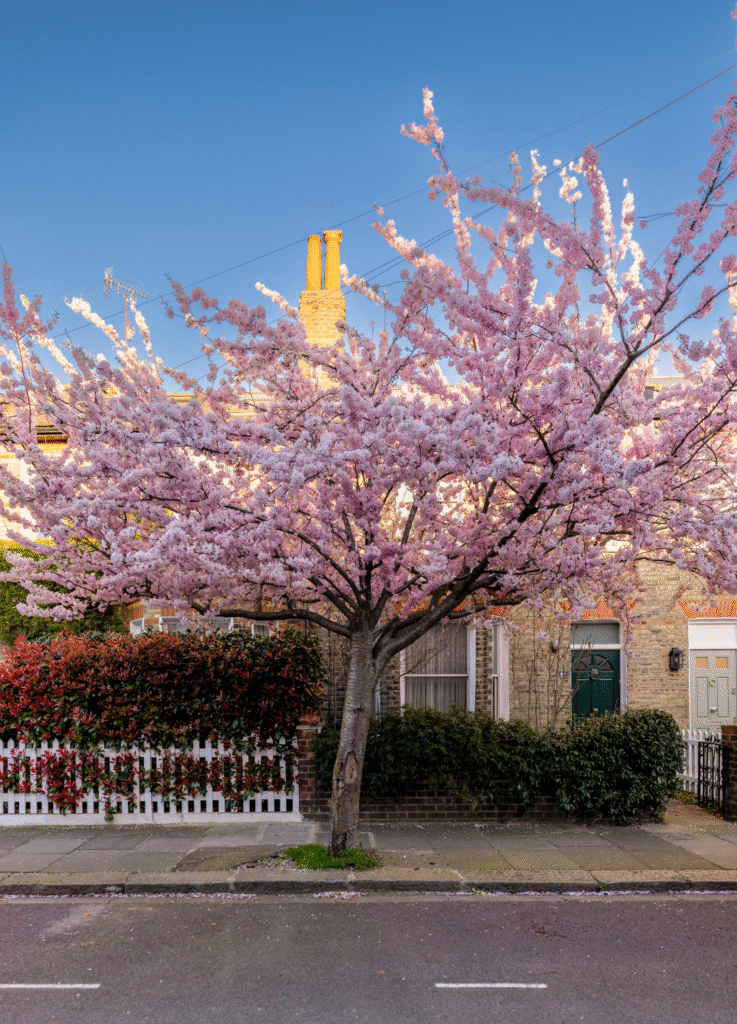 West London Property News 2026