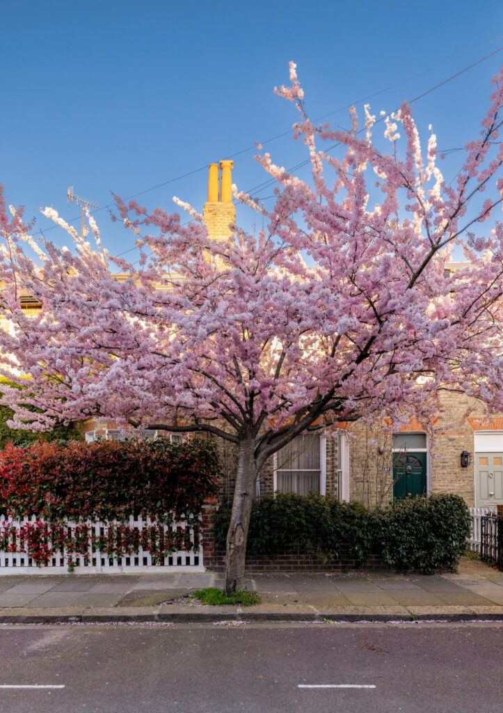 West London Property News 2026